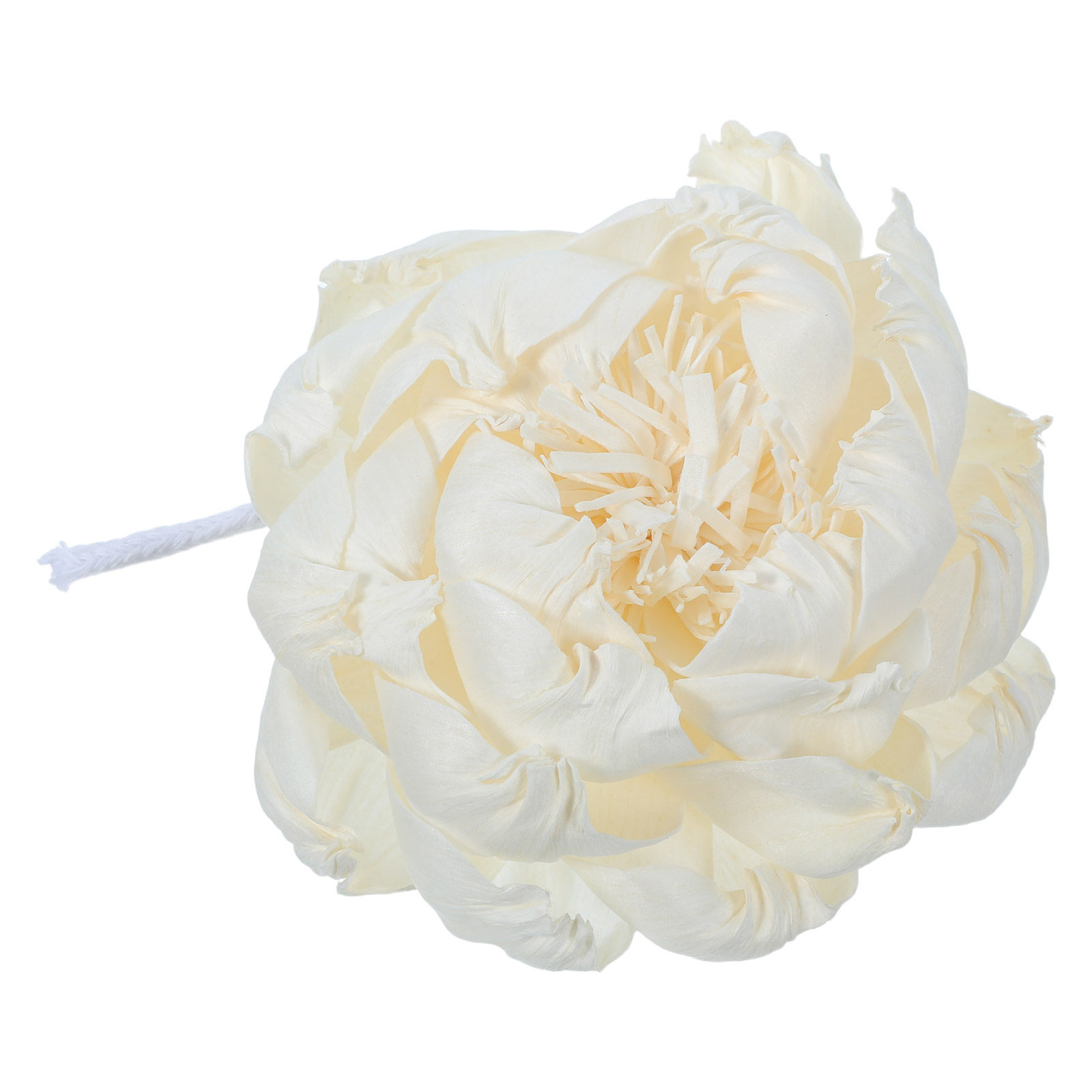 Pioenroos Geurverspreider 12Cm - Home Fragrance Diffusers recensie en prijs