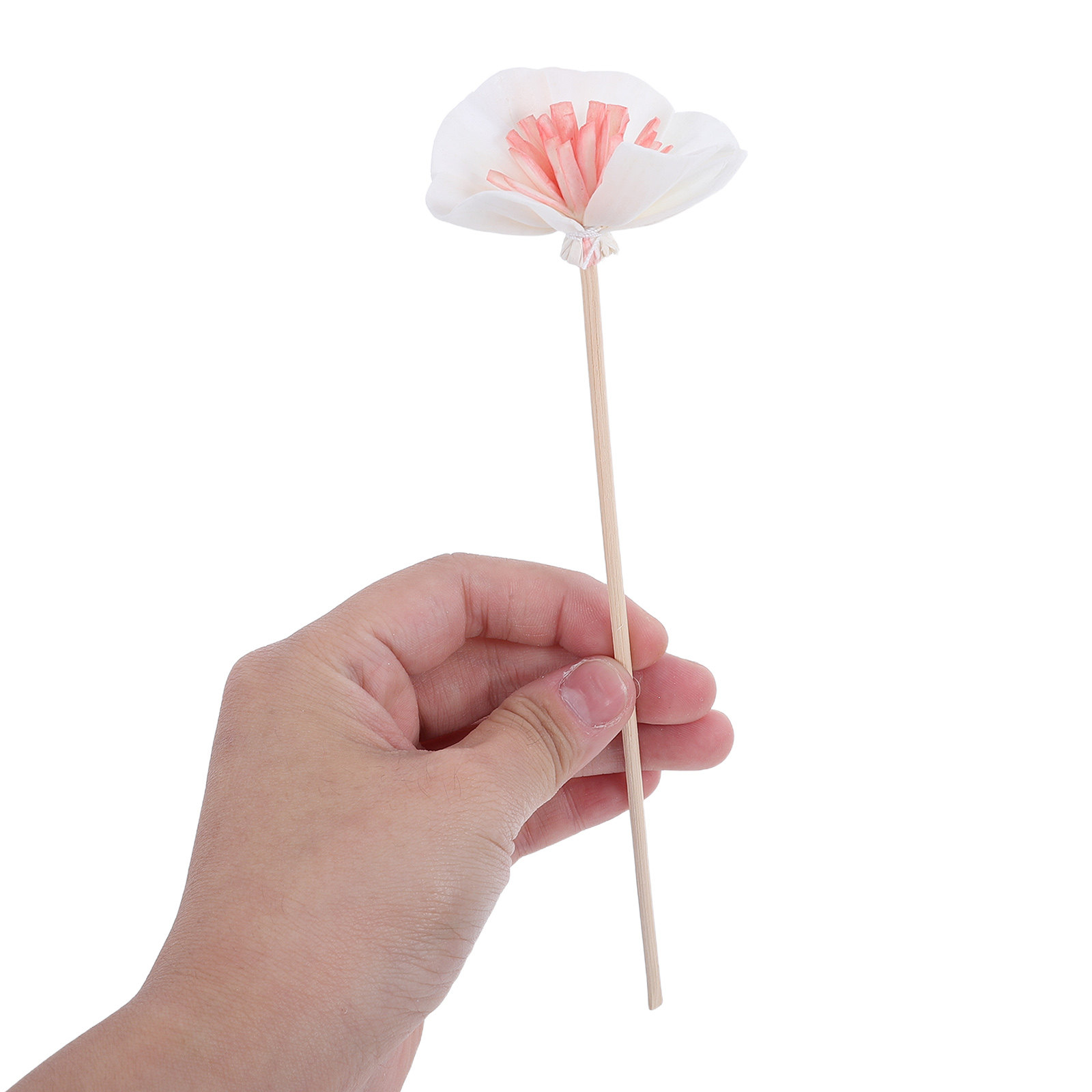 10 stuks zwarte essentiële oli - Home Fragrance Diffusers recensie en prijs