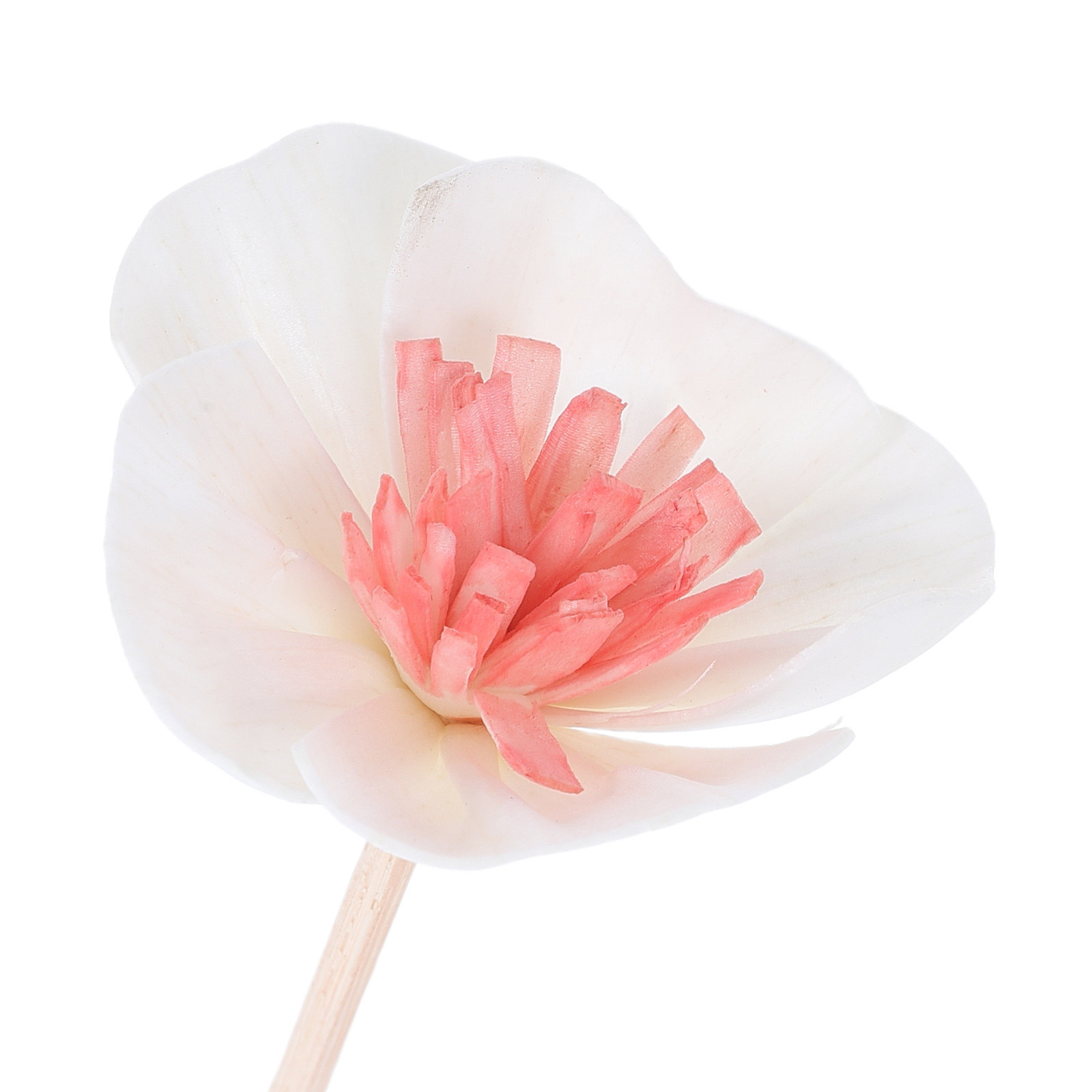 10 stuks zwarte essentiële oli - Home Fragrance Diffusers recensie en prijs