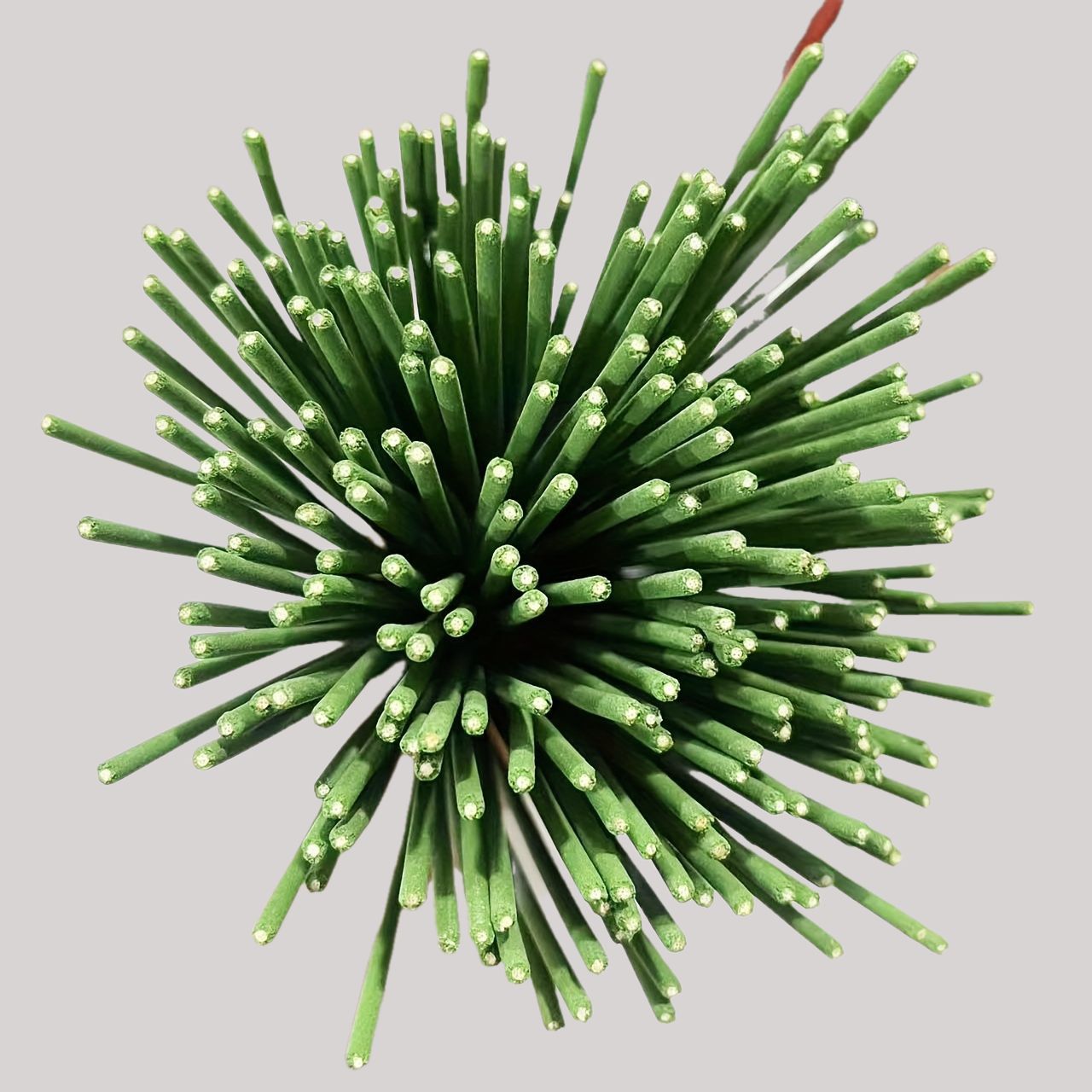 Riet Diffuser Sticks Citroengr - Home Fragrance Items recensie en prijs